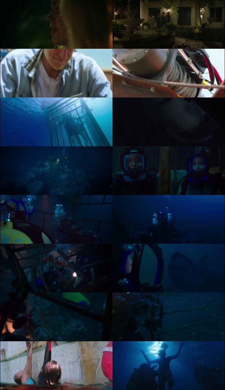 47 Meters Down 2017 Hindi ORG Dual Audio Movie DD2.0 1080p 720p 480p BluRay ESubs x264 HEVC 47 Meters Down 2017 Hindi ORG Dual Audio Movie DD5.1 1080p 720p 480p BluRay ESubs x264 HEVC