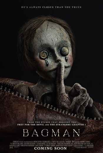 Bagman 2024 Hindi ORG Dual Audio Movie DD5.1 1080p 720p 480p Web-DL ESubs x264 HEVC