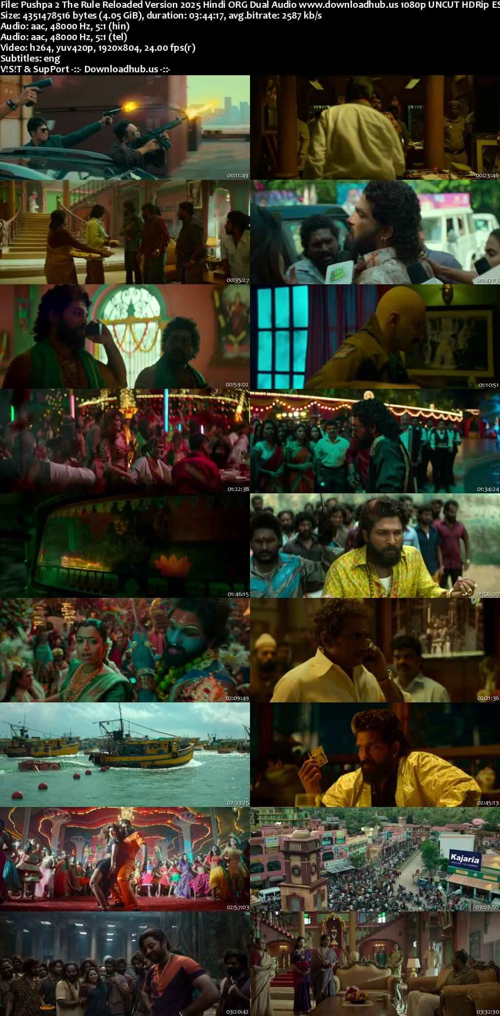 Pani 2024 Hindi ORG Dual Audio Movie DD2.0 1080p 720p 480p UNCUT HDRip ESubs HEVC Pushpa 2 The Rule Reloaded Version 2025 Hindi ORG Dual Audio Movie DD5.1 1080p 720p 480p UNCUT HDRip ESubs HEVC