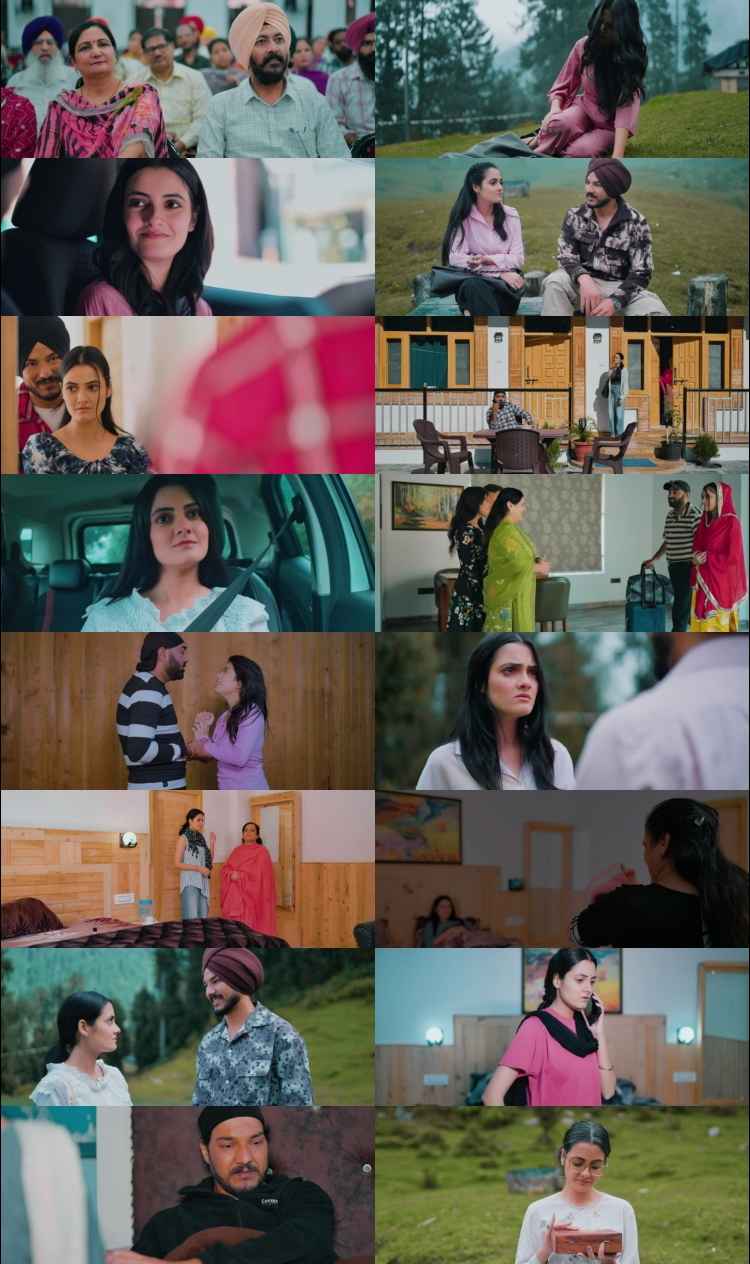 Hara Chura 2025 Punjabi Movie DD5.11080p 720p 480p HDRip ESubs HEVC