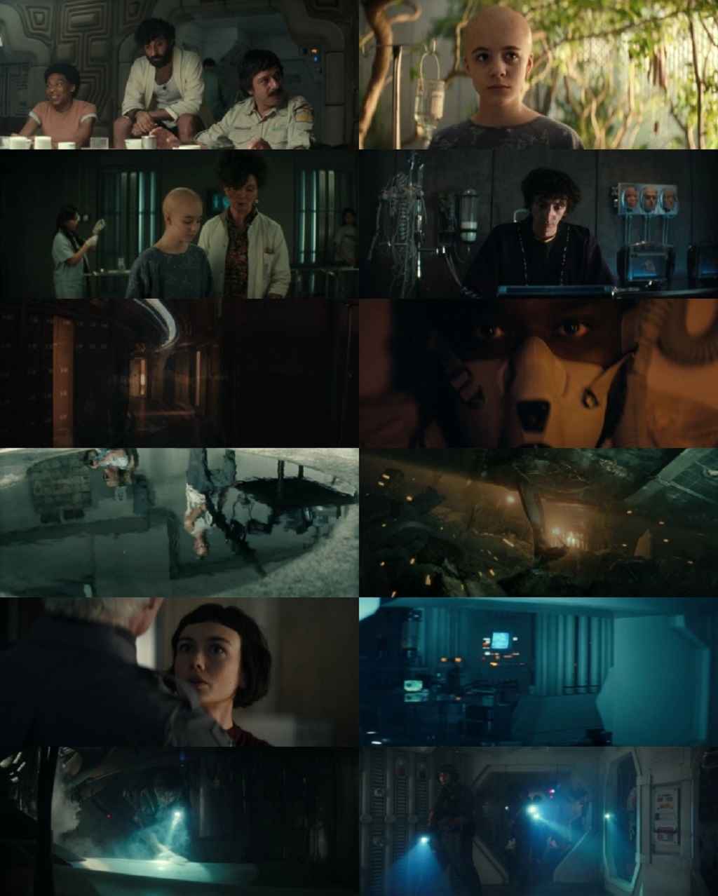 Alien Earth 2025 S01 Complete Hindi Dual Audio 1080p 720p 480p Web-DL ESubs Alien Earth 2025 S01 Complete Hindi Dual Audio 1080p 720p 480p Web-DL ESubs