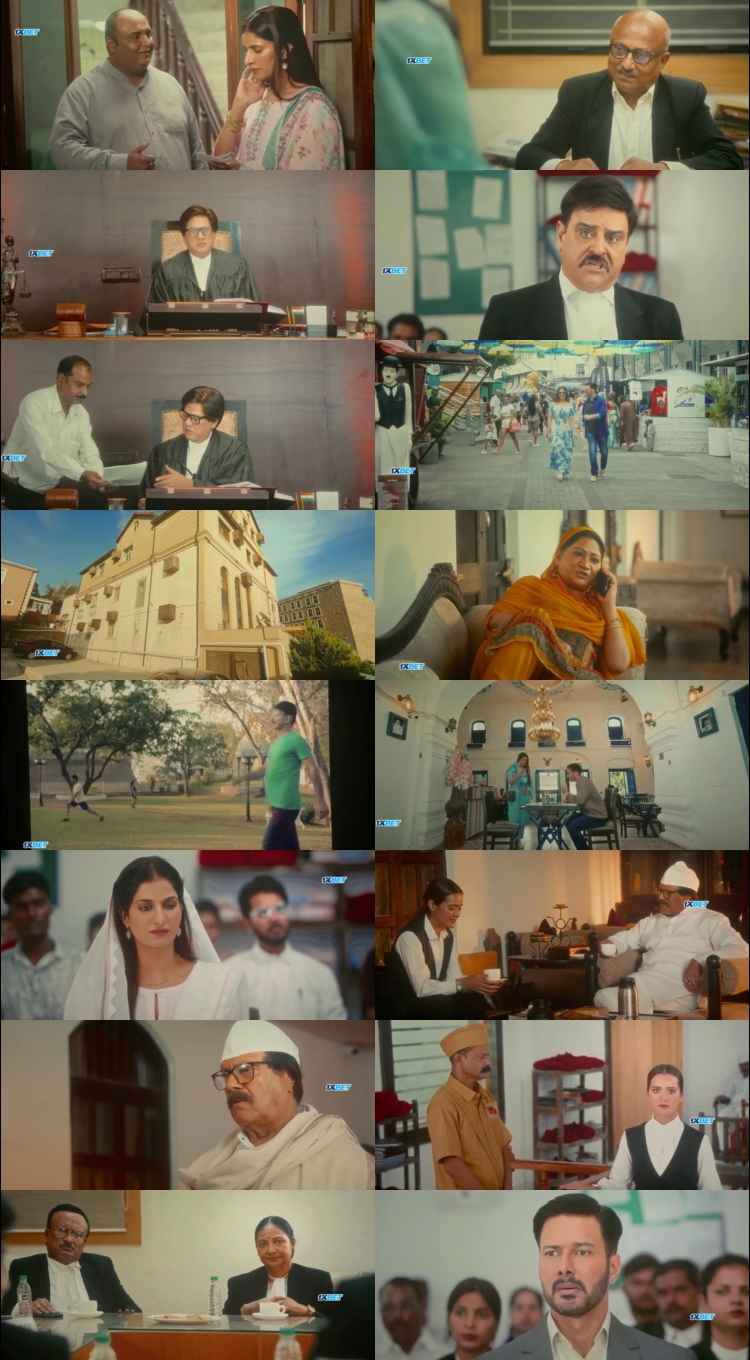 Tu Meri Poori Kahani 2025 Hindi Movie 1080p 720p 480p HDTC x264 HEVC