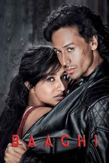 Baaghi 2016 Hindi Movie DD5.1 4k 1080p 720p 480p BluRay ESubs x264 HEVC
