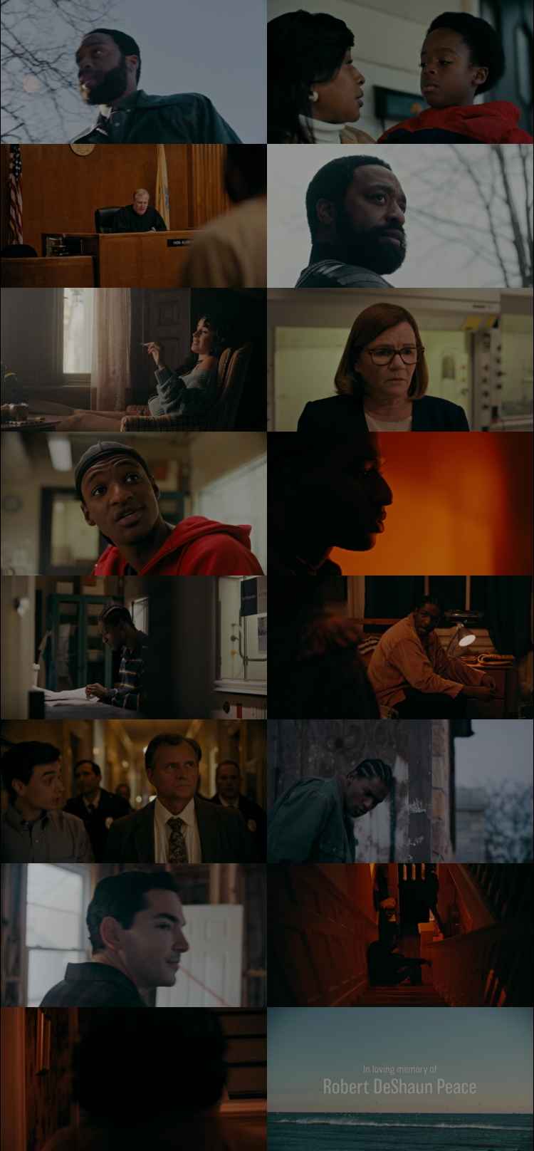 Rob Peace 2024 Hindi ORG Dual Audio Movie DD5.1 1080p 720p 480p Web-DL x264 ESubs HEVC