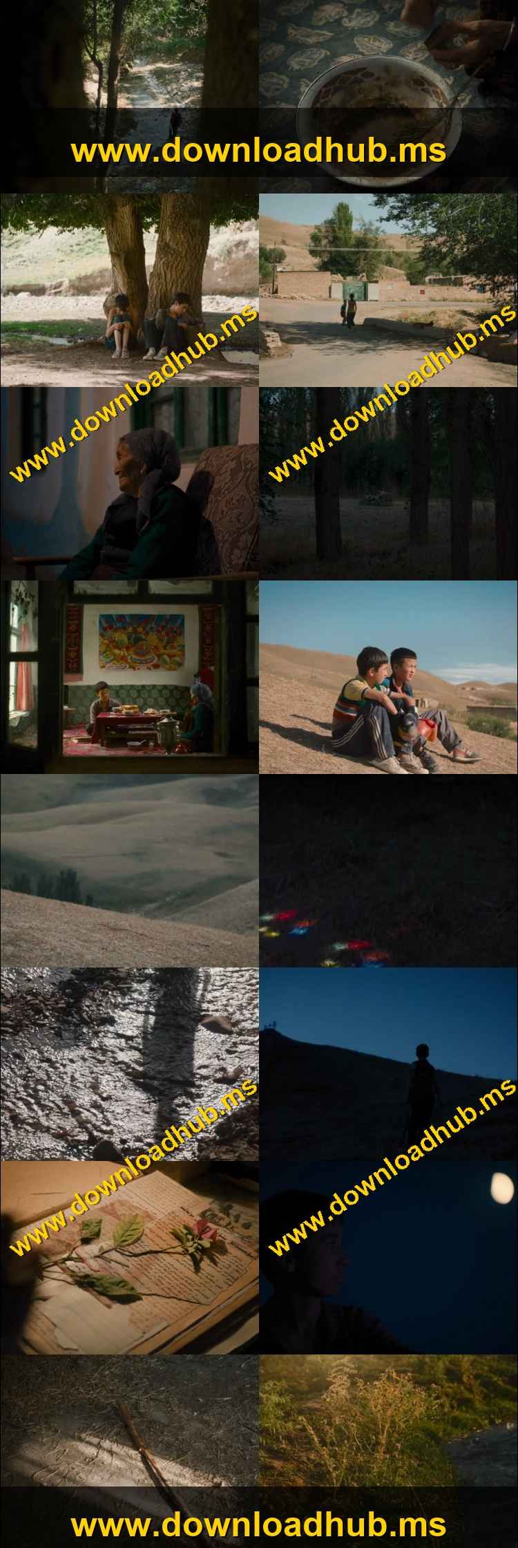 The Botanist 2026 Hindi ORG Dual Audio Movie DD2.0 1080p 720p 480p Web-DL x264 ESubs HEVC The Botanist 2026 Hindi ORG Dual Audio Movie DD2.0 1080p 720p 480p Web-DL x264 ESubs HEVC
