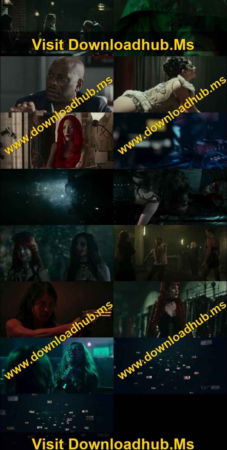 Vampires of the Velvet Lounge 2026 Hindi ORG Dual Audio Movie DD5.1 1080p 720p 480p Web-DL x264 ESubs HEVC Vampires of the Velvet Lounge 2026 Hindi ORG Dual Audio Movie DD5.1 1080p 720p 480p Web-DL x264 ESubs HEVC